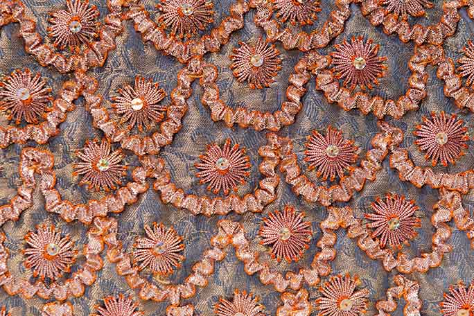 Gotta Patti Green - Champa