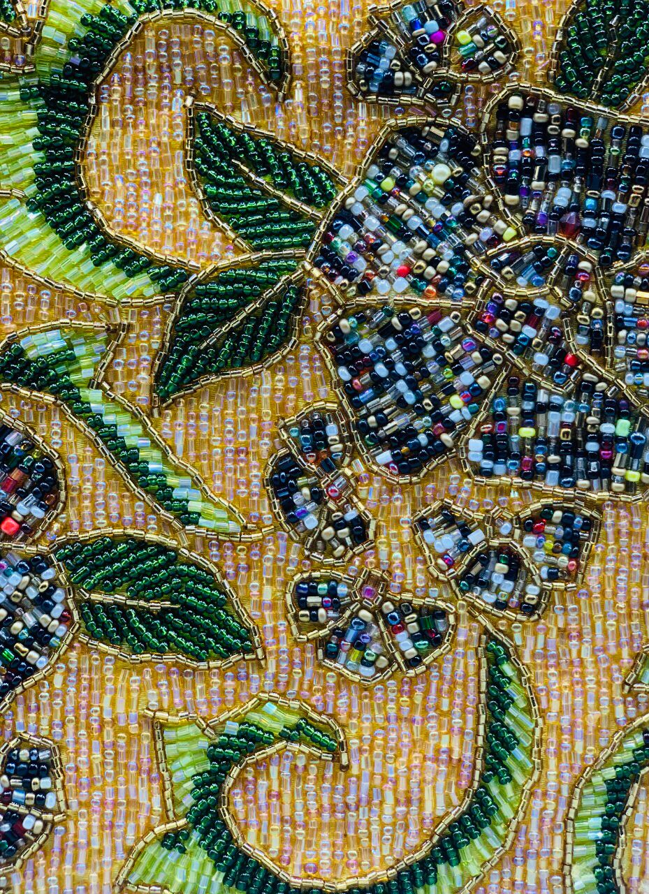 Sasha Magical Garden